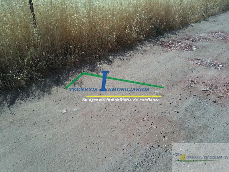 For sale of land in Mérida
