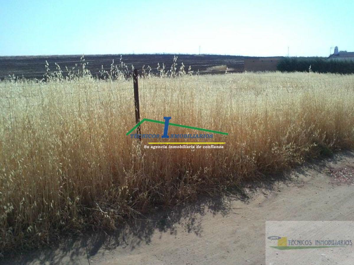 For sale of land in Mérida
