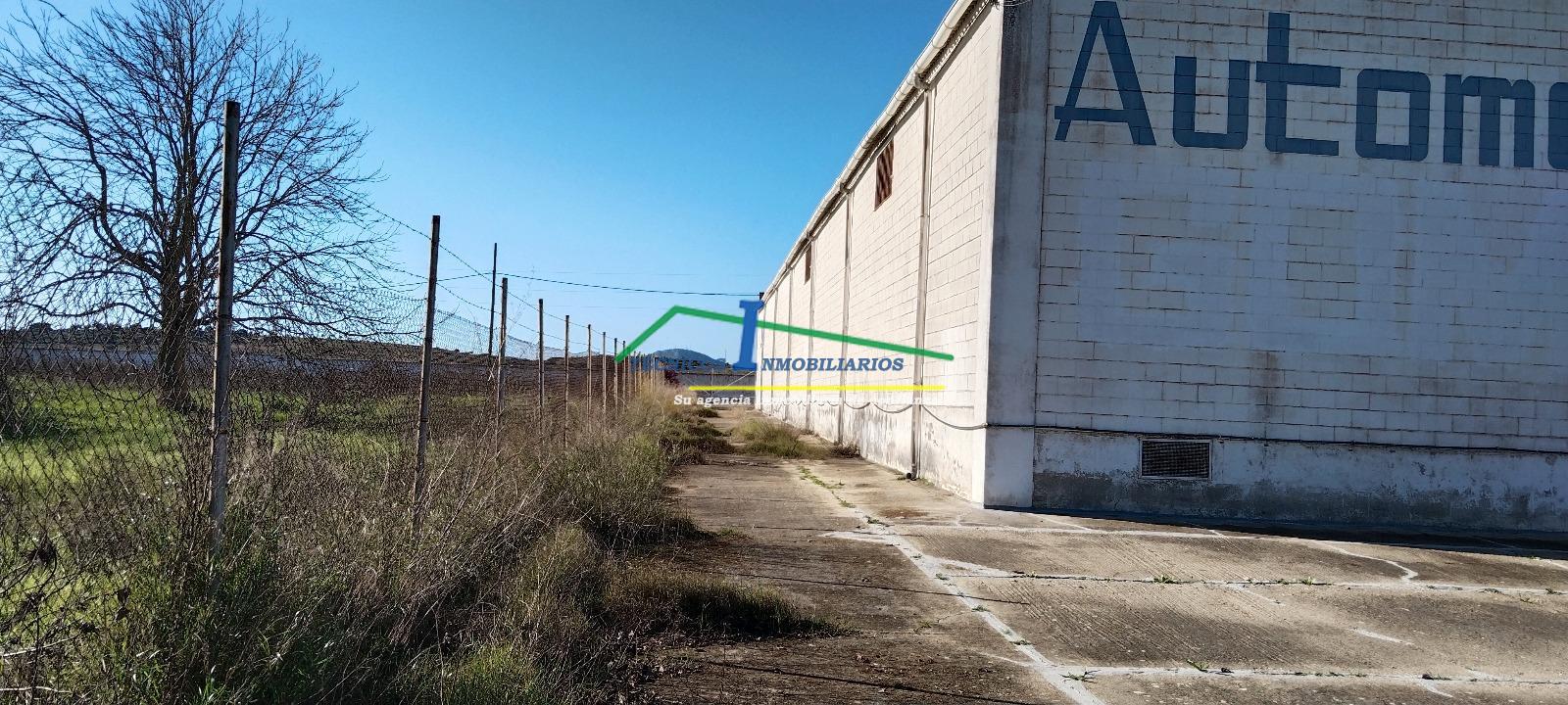 For rent of industrial plant/warehouse in Mérida