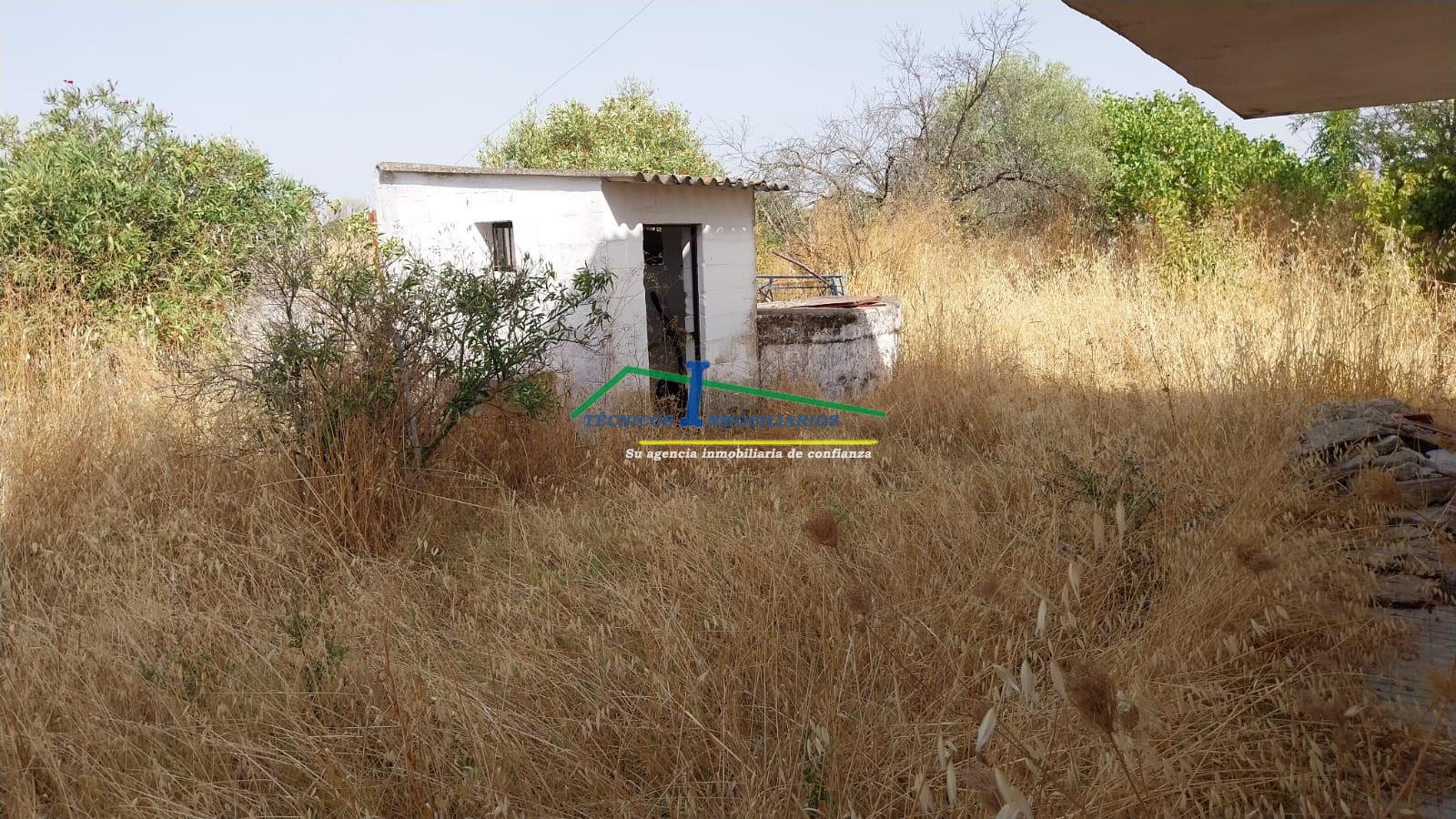 Venta de chalet en Valverde de Mérida Venta de chalet en Valverde de Mérida