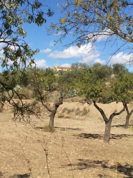 Venta de finca rústica en Vélez-Rubio