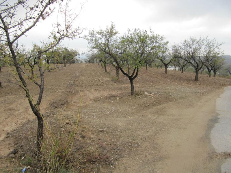Venta de finca rústica en Vélez-Rubio