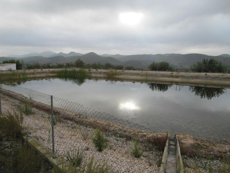 Venta de finca rústica en Vélez-Rubio