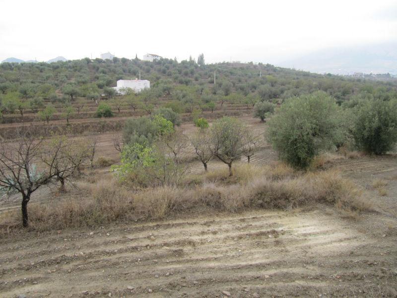 Venta de finca rústica en Vélez-Rubio