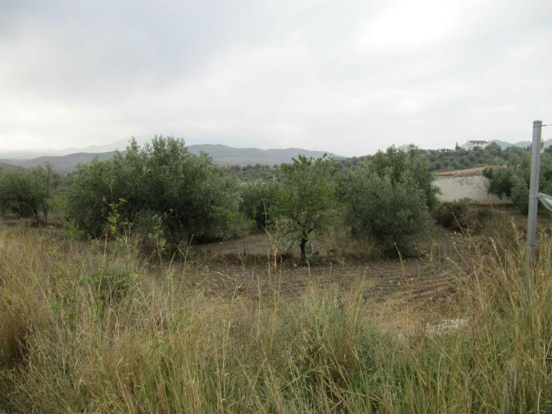 Venta de finca rústica en Vélez-Rubio