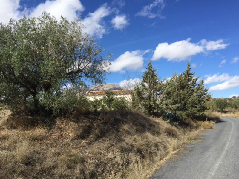 Venta de finca rústica en Vélez-Rubio