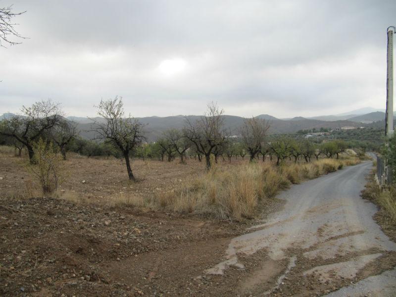 Venta de finca rústica en Vélez-Rubio