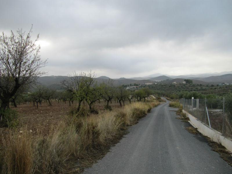 Venta de finca rústica en Vélez-Rubio