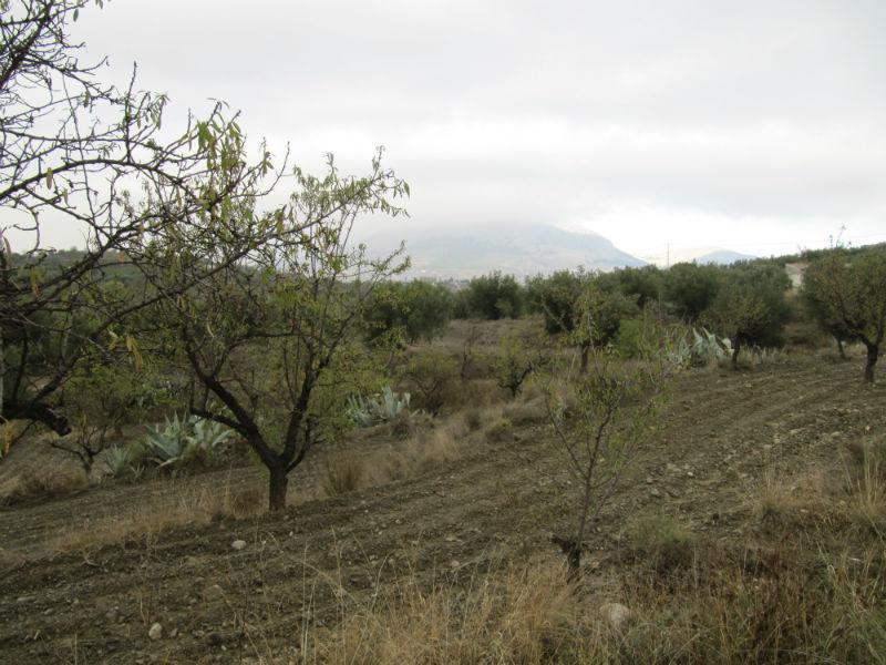 Venta de finca rústica en Vélez-Rubio