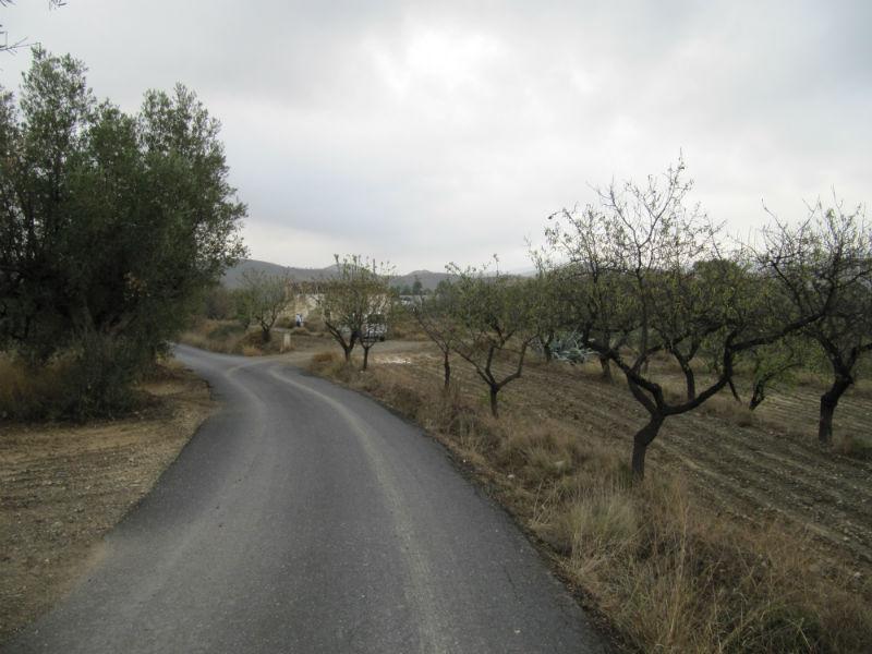 Venta de finca rústica en Vélez-Rubio