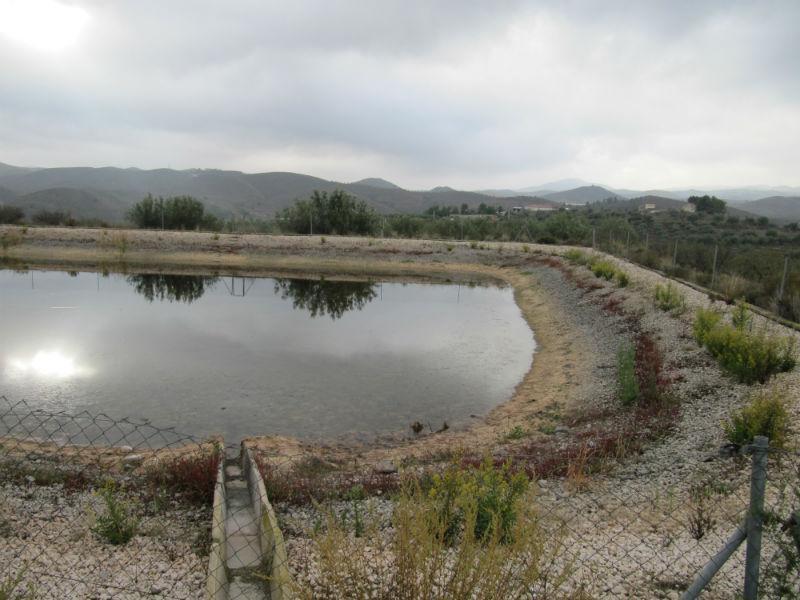 Venta de finca rústica en Vélez-Rubio