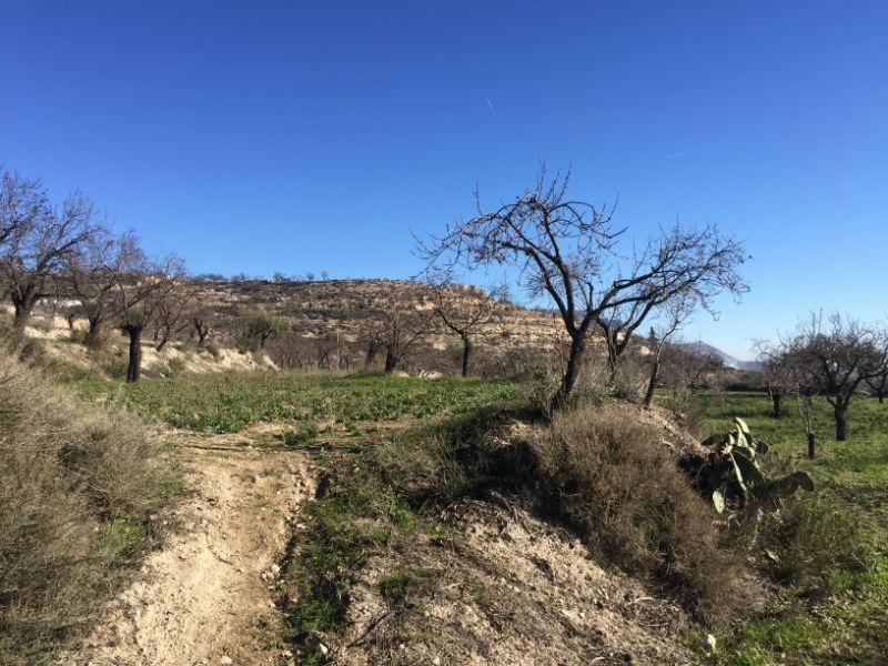 For sale of rural property in Vélez-Blanco