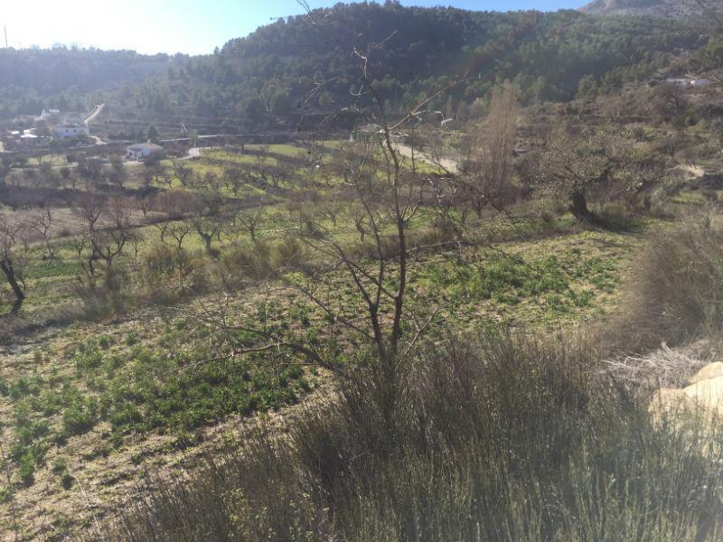 For sale of rural property in Vélez-Blanco