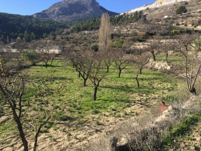 For sale of rural property in Vélez-Blanco