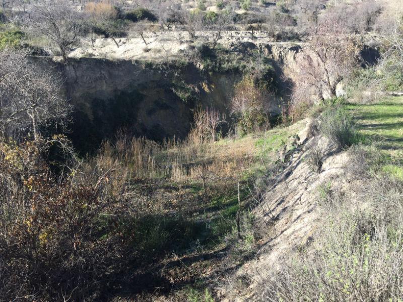 For sale of rural property in Vélez-Blanco