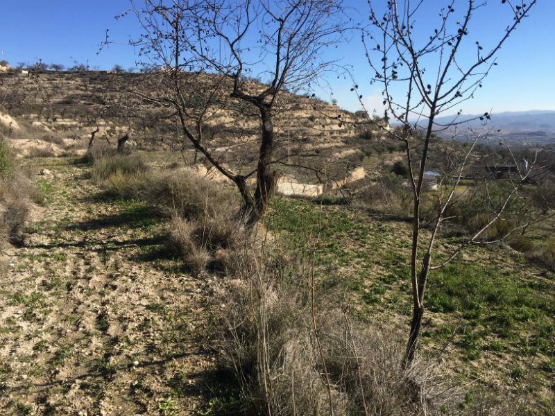 For sale of rural property in Vélez-Blanco