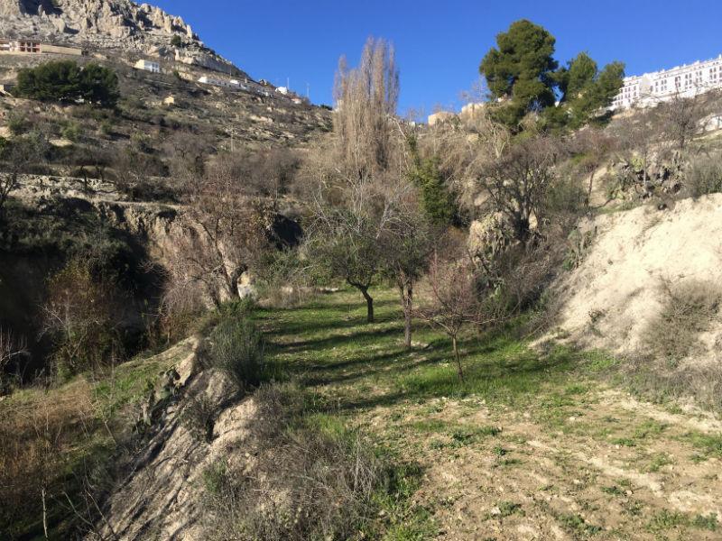 For sale of rural property in Vélez-Blanco