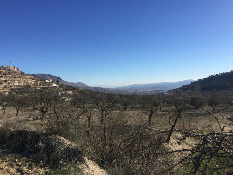For sale of rural property in Vélez-Blanco