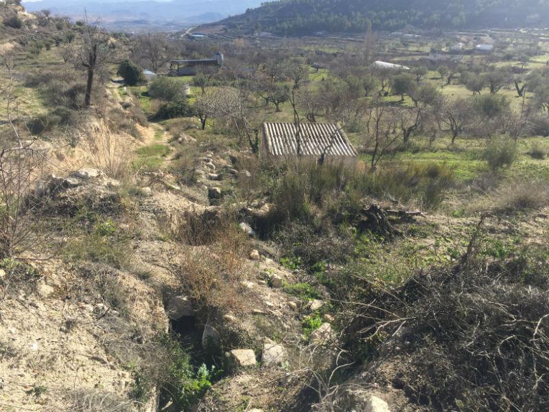 For sale of rural property in Vélez-Blanco