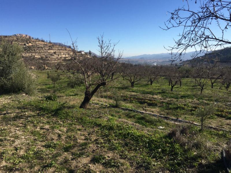 For sale of rural property in Vélez-Blanco