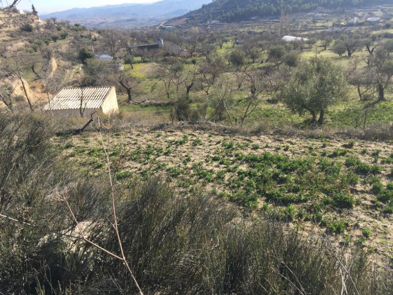 For sale of rural property in Vélez-Blanco