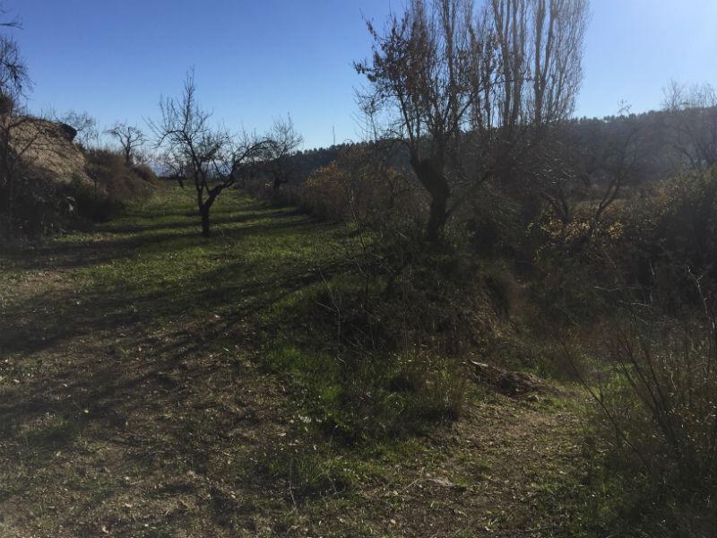 For sale of rural property in Vélez-Blanco