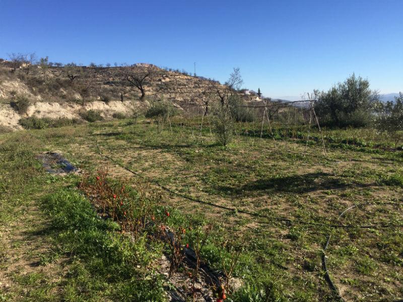 For sale of rural property in Vélez-Blanco