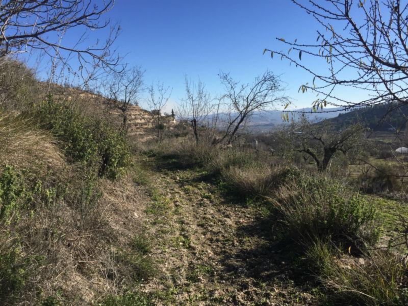 For sale of rural property in Vélez-Blanco