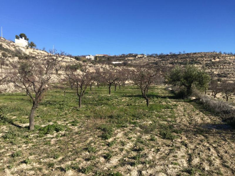 For sale of rural property in Vélez-Blanco