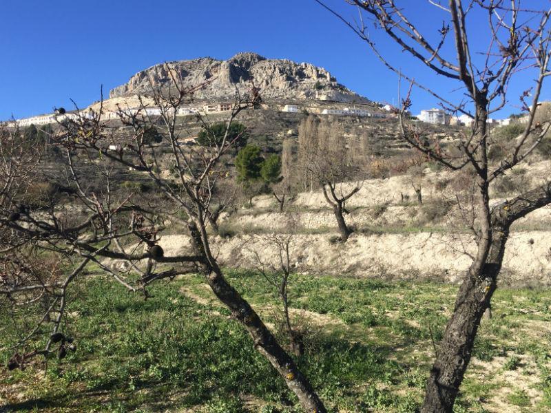 For sale of rural property in Vélez-Blanco