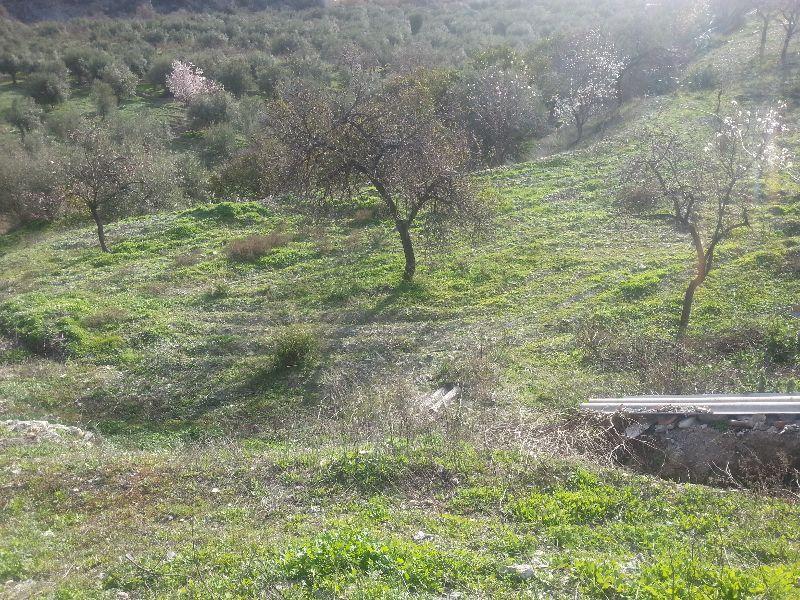 For sale of house in Oria