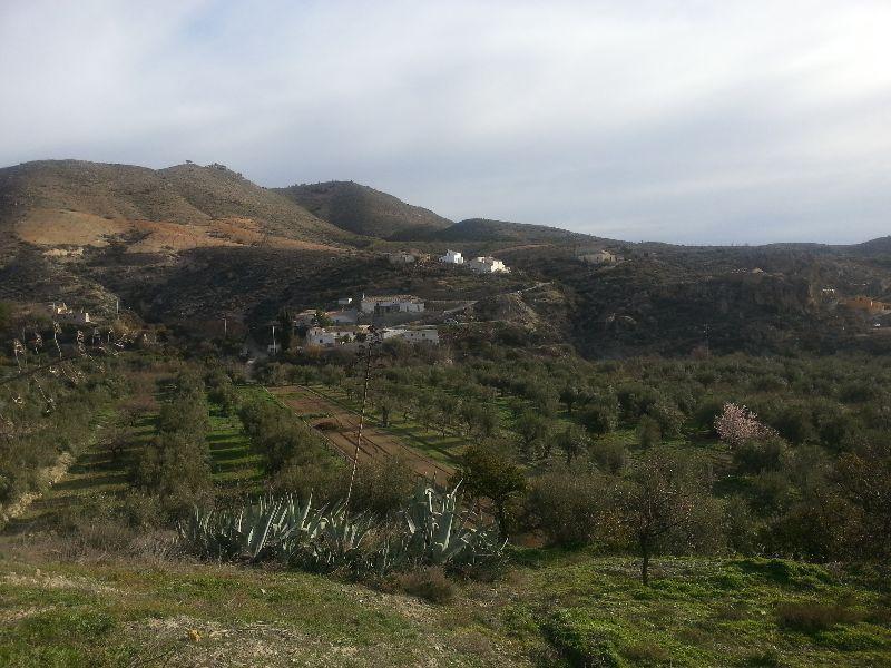 For sale of house in Oria