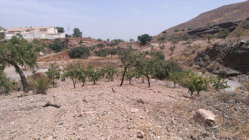 For sale of land in Taberno