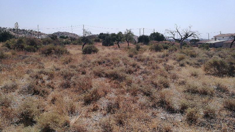 For sale of land in Huércal-Overa