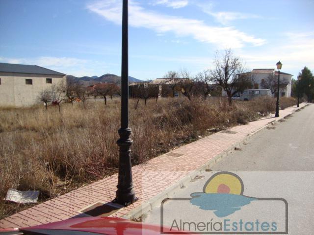 For sale of land in Chirivel