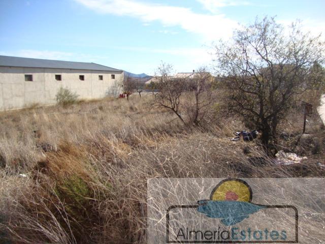 For sale of land in Chirivel