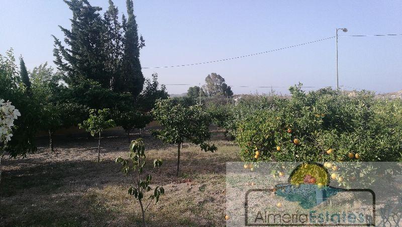 Venta de villa en Albox