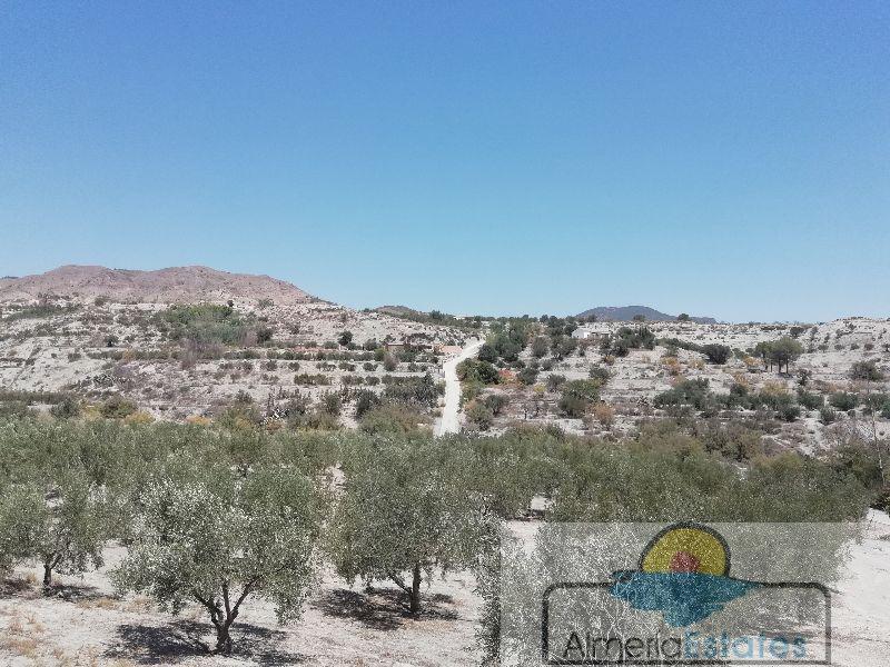 For rent of villa in Somontín
