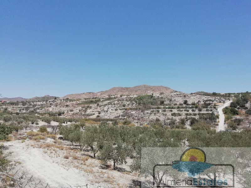 For rent of villa in Somontín