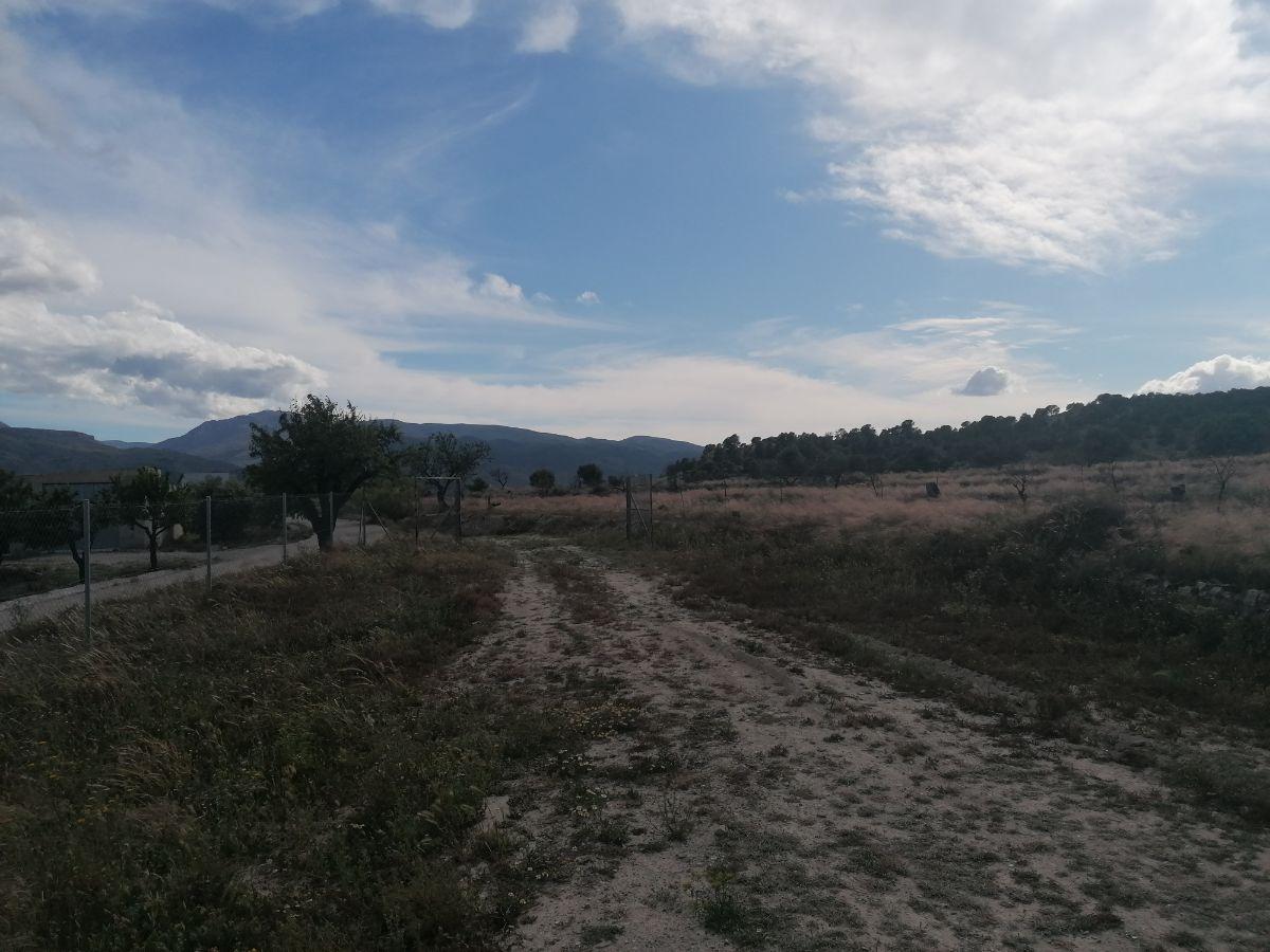 For rent of villa in Somontín