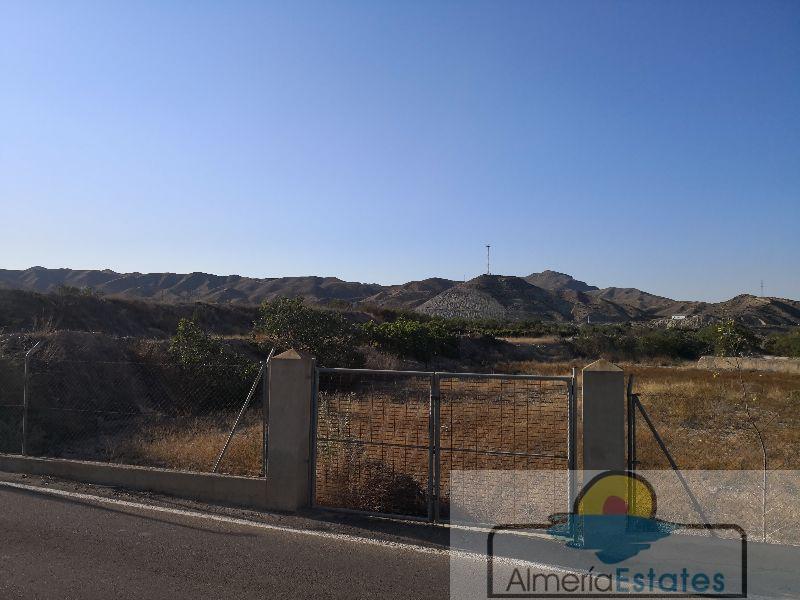 For sale of land in Arboleas