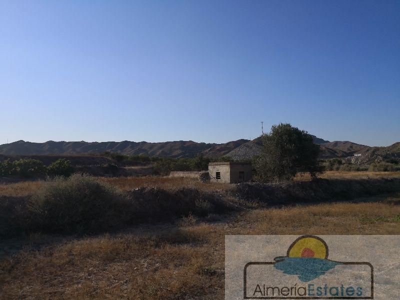 For sale of land in Arboleas