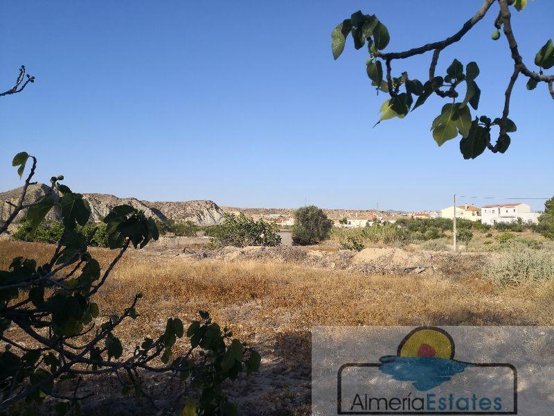 For sale of land in Arboleas