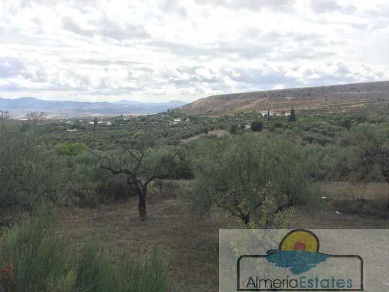 For sale of chalet in Vélez-Blanco