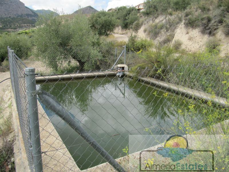 For sale of chalet in Vélez-Blanco