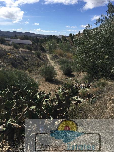 For sale of rural property in Vélez-Blanco