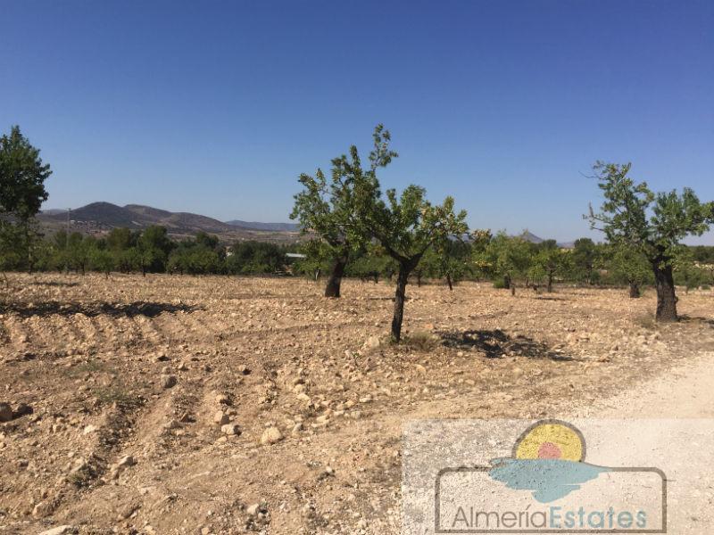 Venta de finca rústica en Chirivel