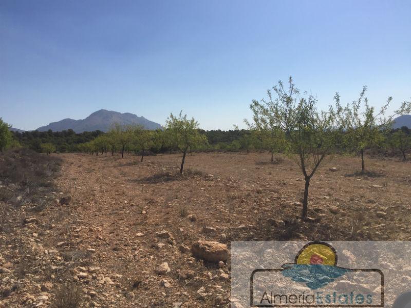 Venta de finca rústica en Chirivel