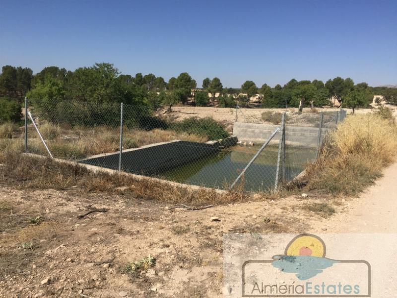 Venta de finca rústica en Chirivel