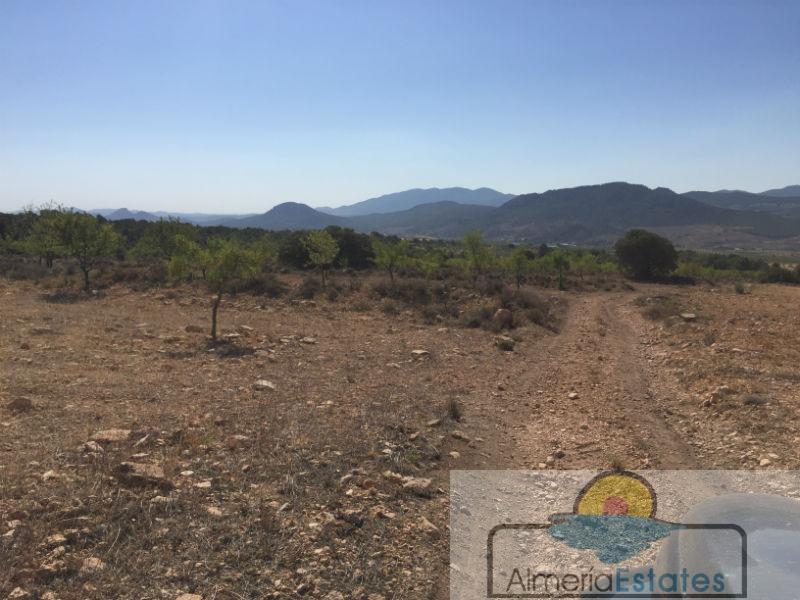 For sale of rural property in Chirivel
